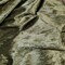 1 Yard Elegant Olive Crushed Velour Fabric 58/60" Wide Soft Polyester for Apparel Sewing & Decorating